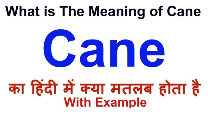 cane meaning in hindi - Hình 4