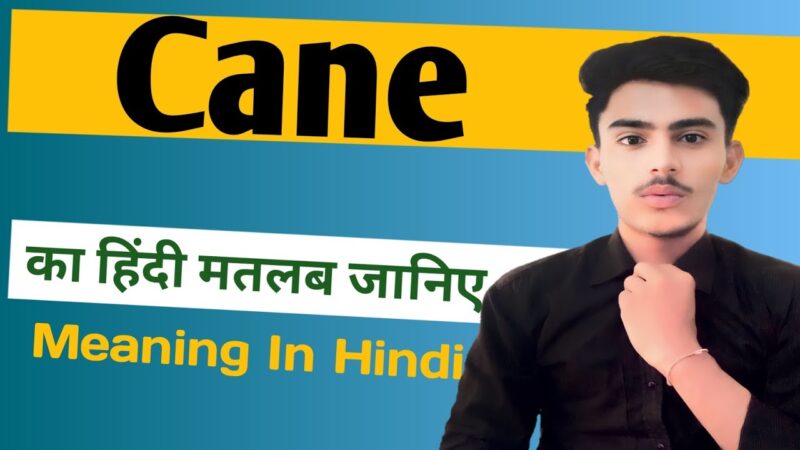 cane meaning in hindi - Hình 5