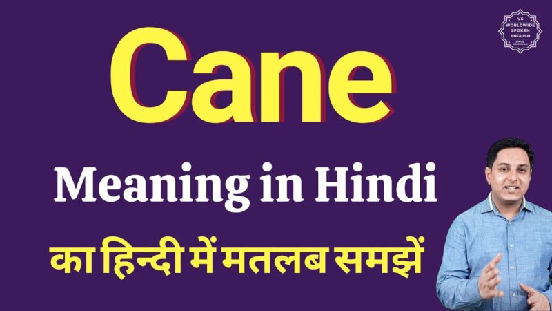 cane meaning in hindi - Hình 1