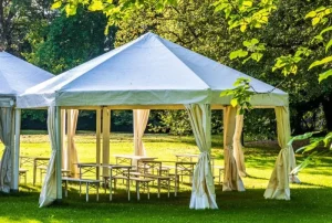 canopy meaning in hindi 1