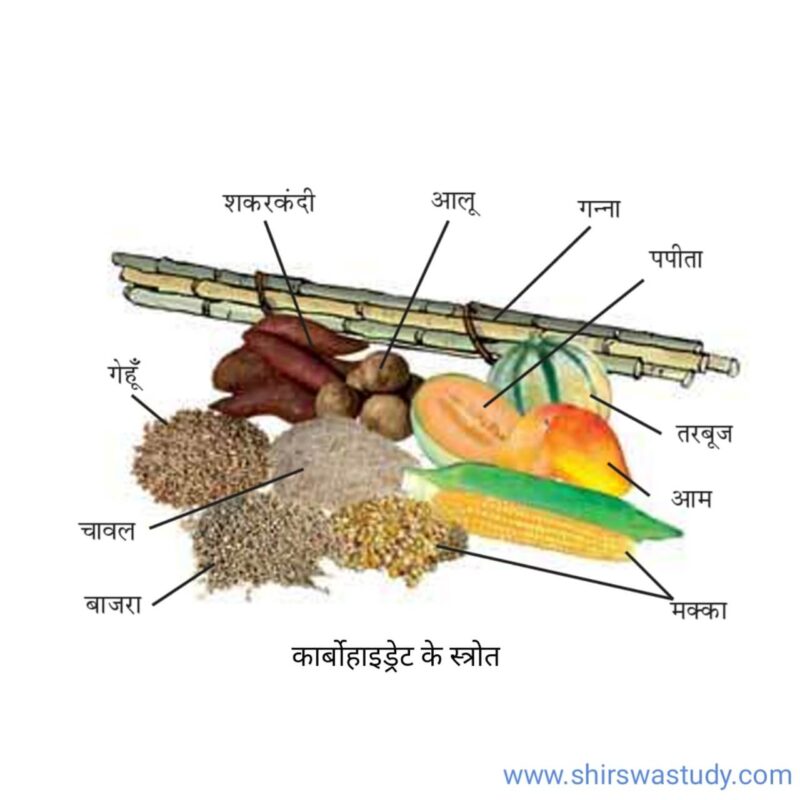 carbohydrates meaning in hindi - Hình 1