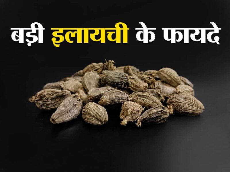 cardamom meaning in hindi - Hình 3