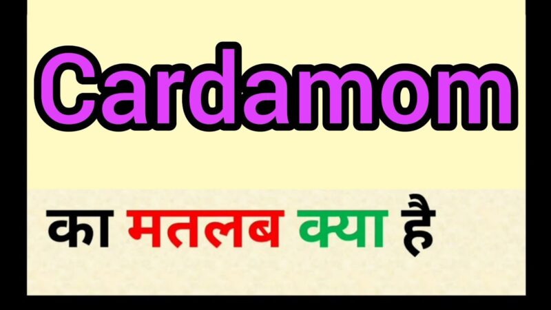 cardamom meaning in hindi - Hình 4