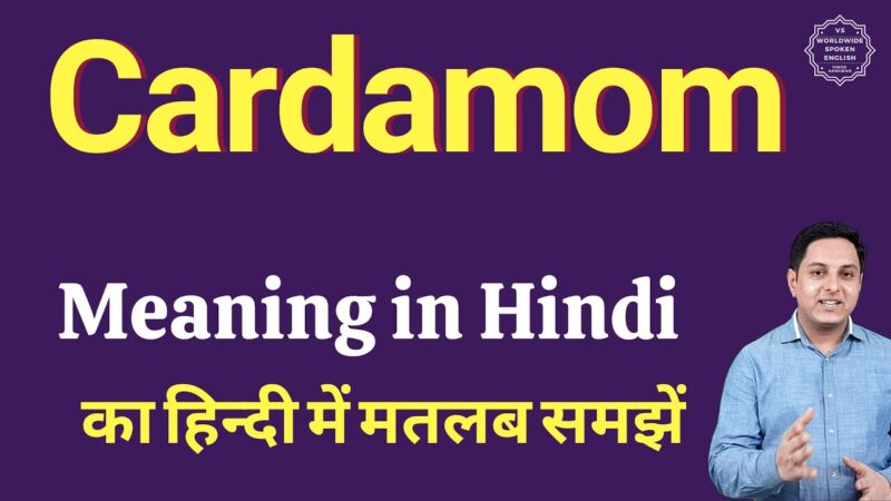 cardamom meaning in hindi - Hình 1