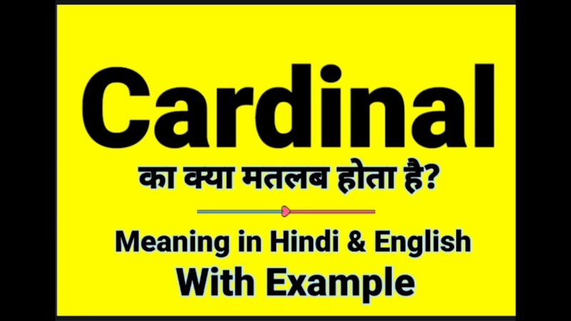 cardinal meaning in hindi - Hình 3