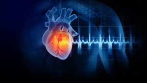 cardiology meaning in hindi 3