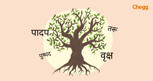 carrier meaning in hindi 3