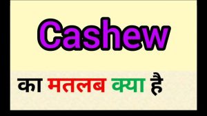 cashew meaning in hindi 1