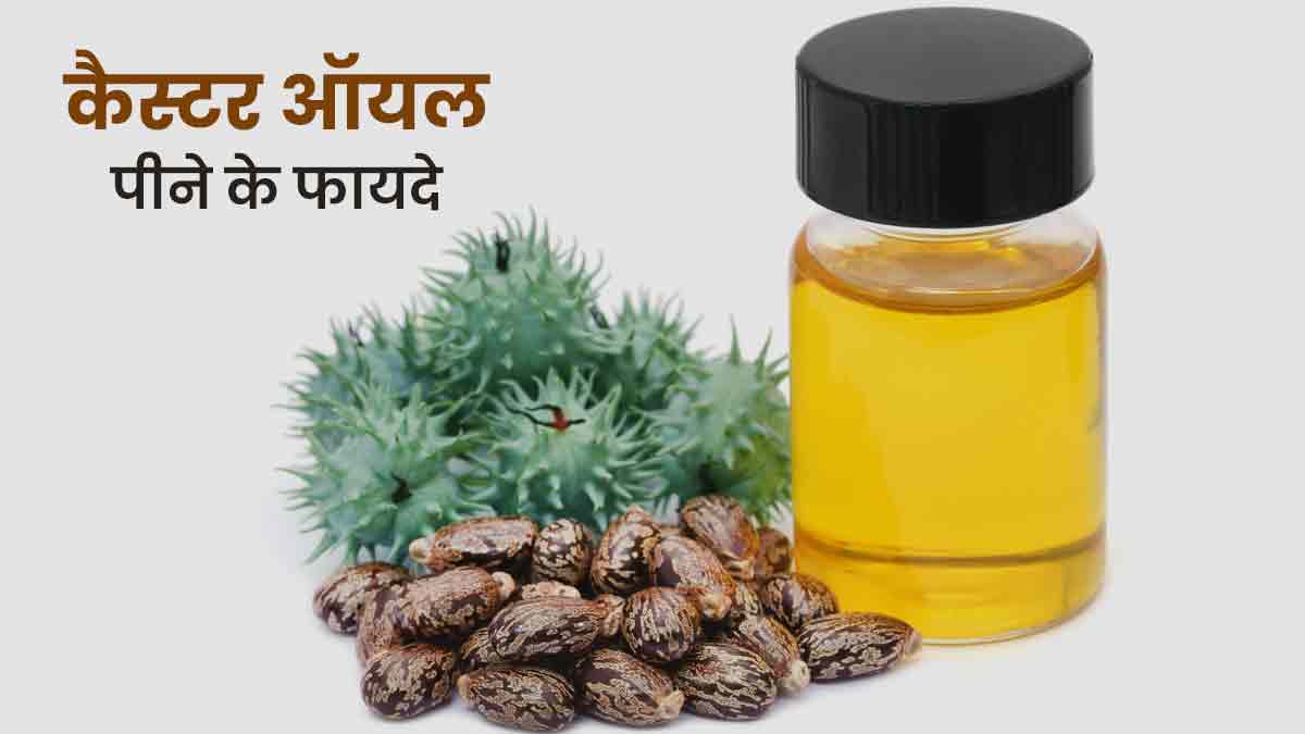 कैस्टर का अर्थ हिंदी में क्या है?