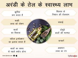 castor meaning in hindi 3