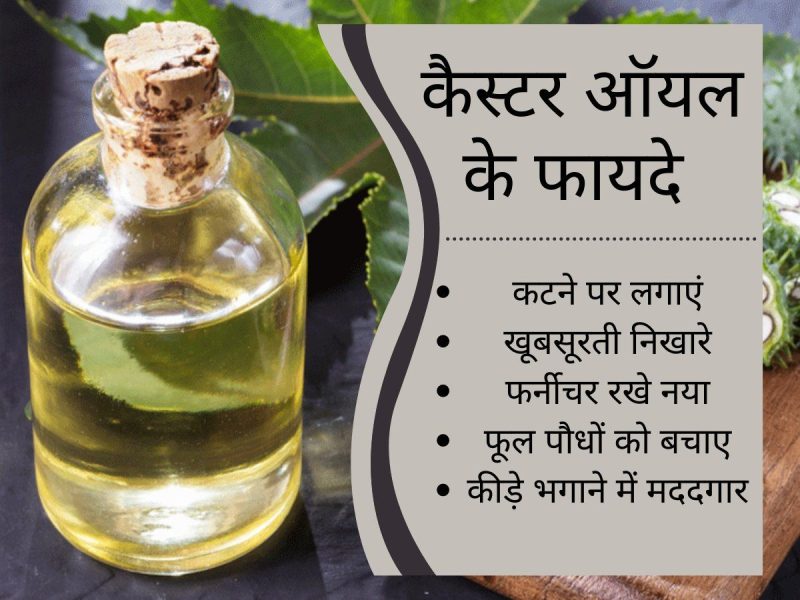 विभिन्न संदर्भों में 'कैस्टर' का सही उपयोग