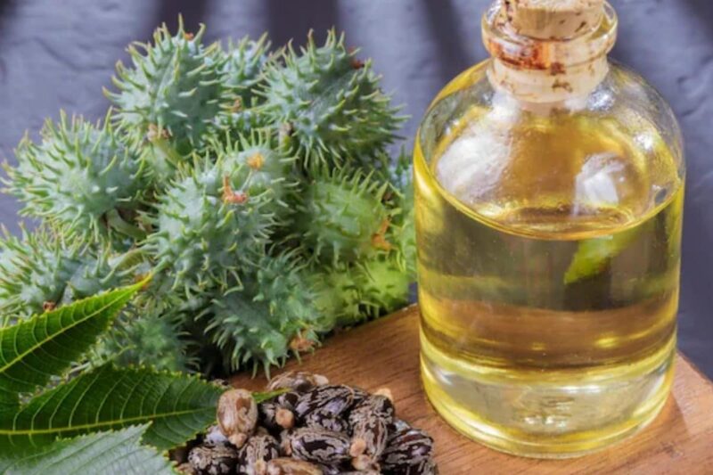 castor oil in hindi meaning - Hình 4