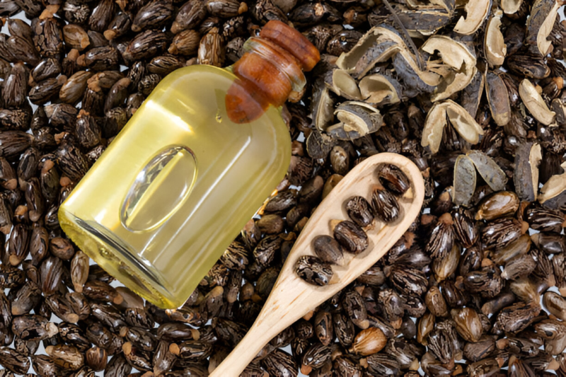 castor oil in hindi meaning - Hình 1