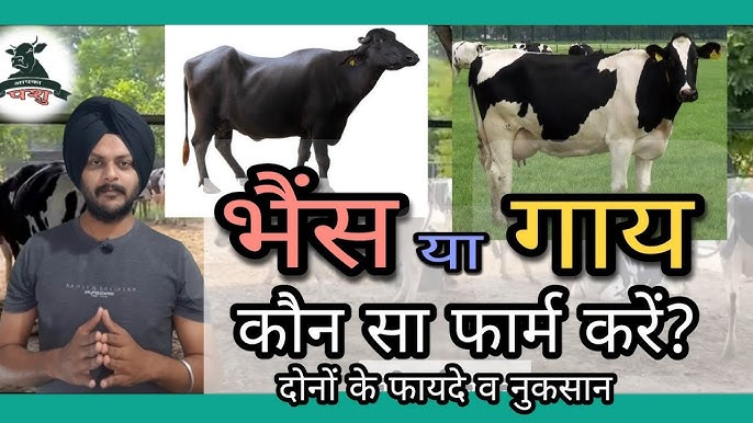 पशुपालन (Cattle Farming) का हिंदी में क्या अर्थ है?
