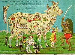 भारतीय संस्कृति में पशु (Cattle) का महत्व