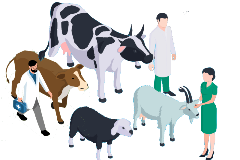 पशुधन (Livestock) और अर्थव्यवस्था पर इसका प्रभाव  हिंदी में