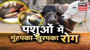 cattle meaning in hindi 6