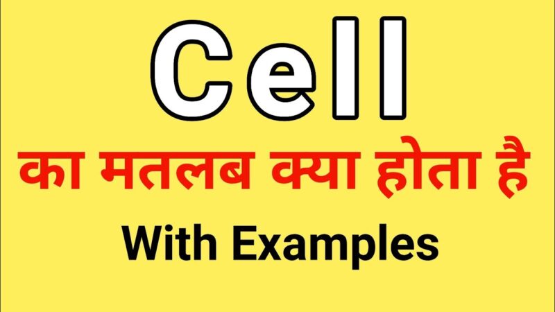cell meaning in hindi - Hình 3