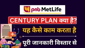 century meaning in hindi 4
