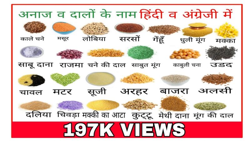 विभिन्न प्रकार के अनाज और उनके हिंदी नाम