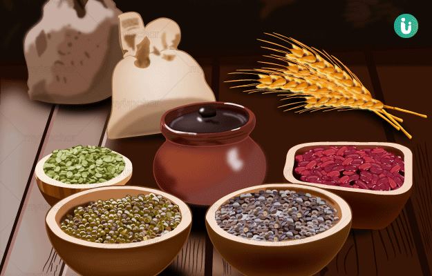 अनाज का उपयोग: हिंदी में विवरण