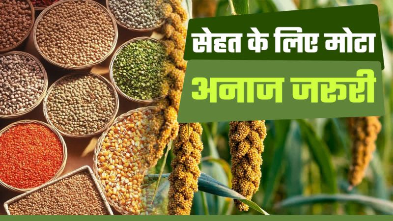 भारत में अनाज का सांस्कृतिक महत्व