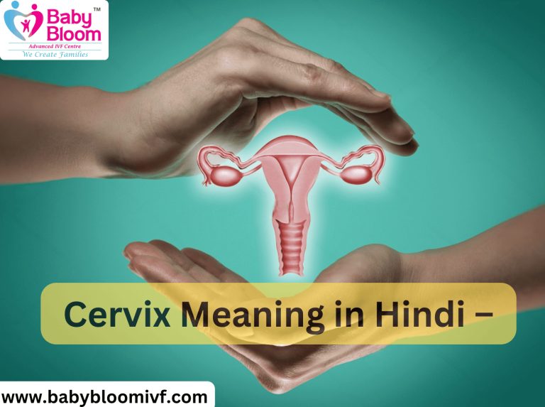 गर्भाशय ग्रीवा (Cervix) का हिंदी में अर्थ: परिभाषा और बुनियादी जानकारी
