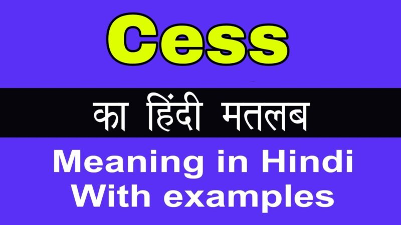 cess meaning in hindi - Hình 1