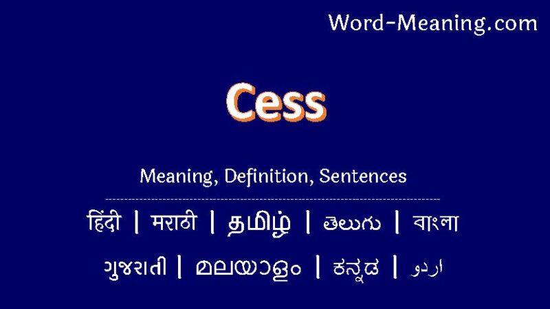 cess meaning in hindi - Hình 2
