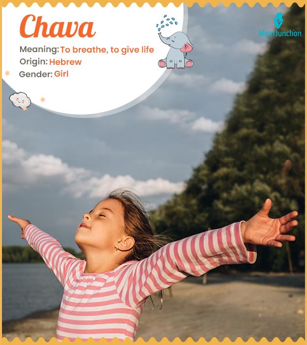chava meaning in hindi 1