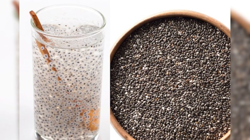 हिंदी में चिया सीड्स का अर्थ (Hindi Mein Chia Seeds Ka Arth)