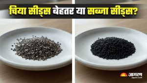 chia seeds meaning in hindi 4