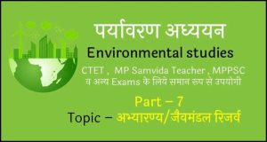 chinar meaning in hindi 1