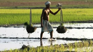 cholera meaning in hindi 6