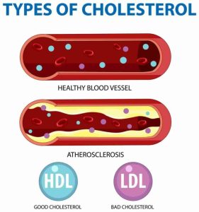 cholesterol meaning in hindi 2