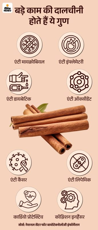 दालचीनी के पर्यायवाची हिंदी शब्द और वाक्यांश