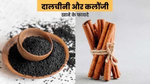 cinnamon meaning in hindi 5
