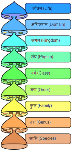 clan meaning in hindi 1