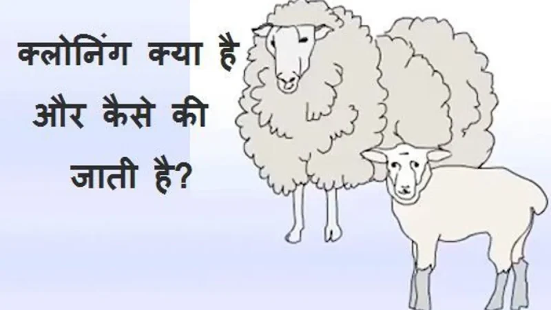 क्लोनिंग के नैतिक और सामाजिक निहितार्थ: फायदे और नुकसान