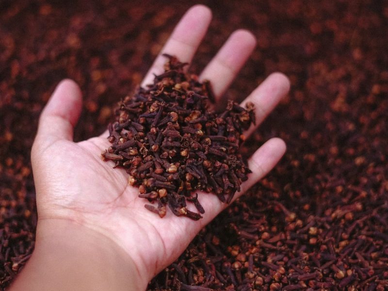लौंग क्या है और इसका परिचय