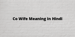 co wife meaning in hindi