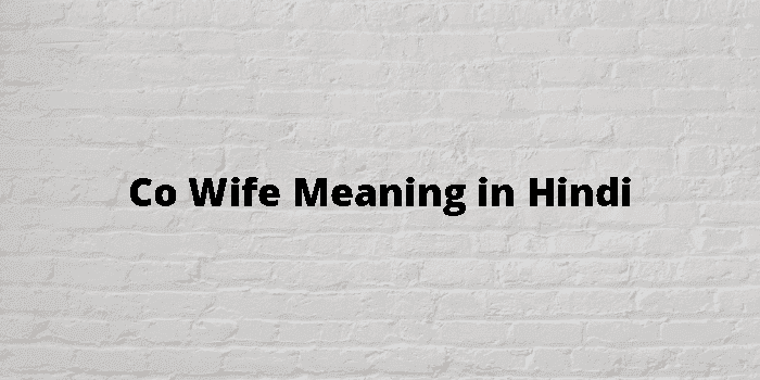 Co Wife Meaning in Hindi: एक पत्नी के साथ साझेदारी का अर्थ और सामाजिक संदर्भ 11 co wife meaning in hindi - Hình 1