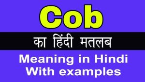 cob meaning in hindi 1