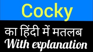 cocky meaning in hindi