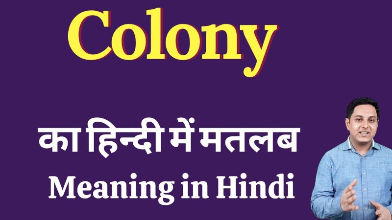 'Colony' के विविध अर्थ और संदर्भ