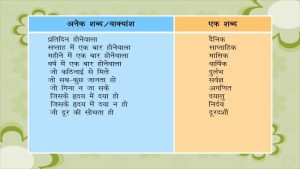 combo meaning in hindi 3