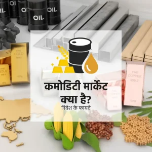 commodity meaning in hindi 2