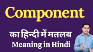 component meaning in hindi