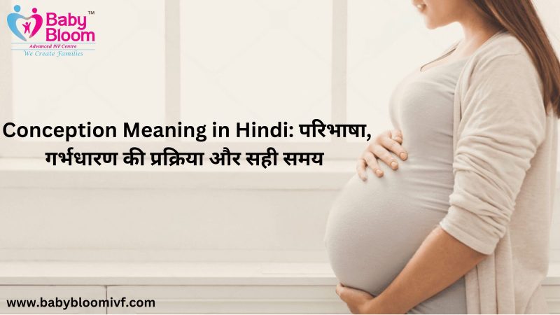 conception meaning in hindi - Hình 3