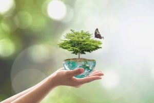 concise meaning in hindi 5